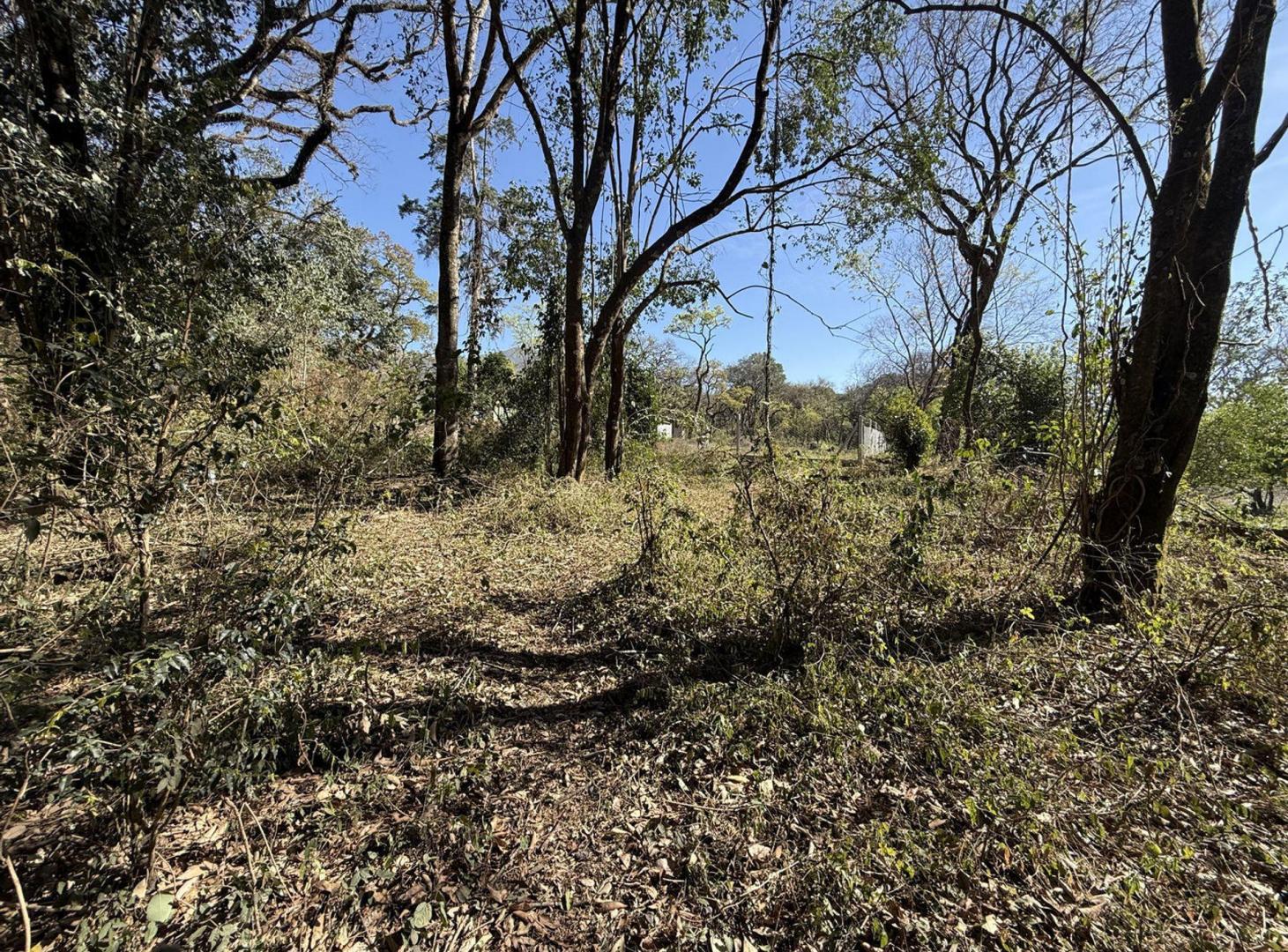 Foto de Venta terreno San Lorenzo naturaleza&tranquilidad, imagen 4
