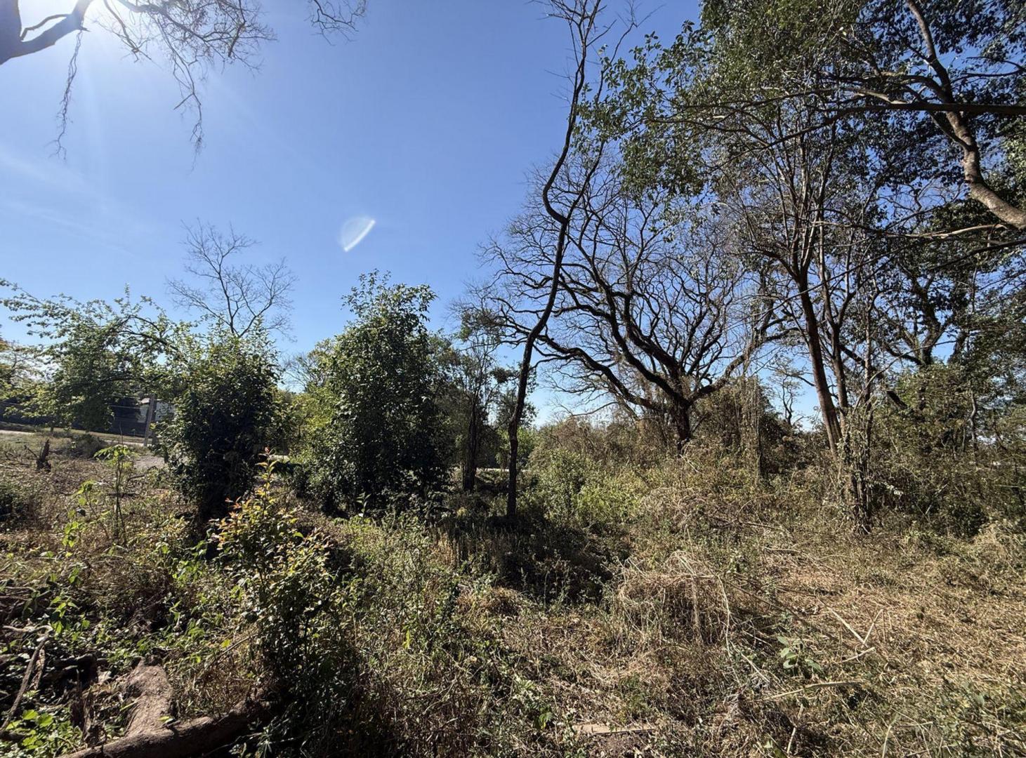 Foto de Venta terreno San Lorenzo naturaleza&tranquilidad, imagen 2