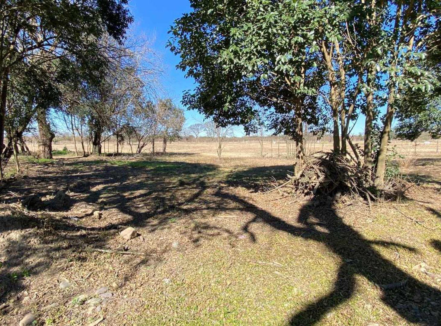 Foto de Venta terreno en La Arbolada San Lorenzo Chico, imagen 3