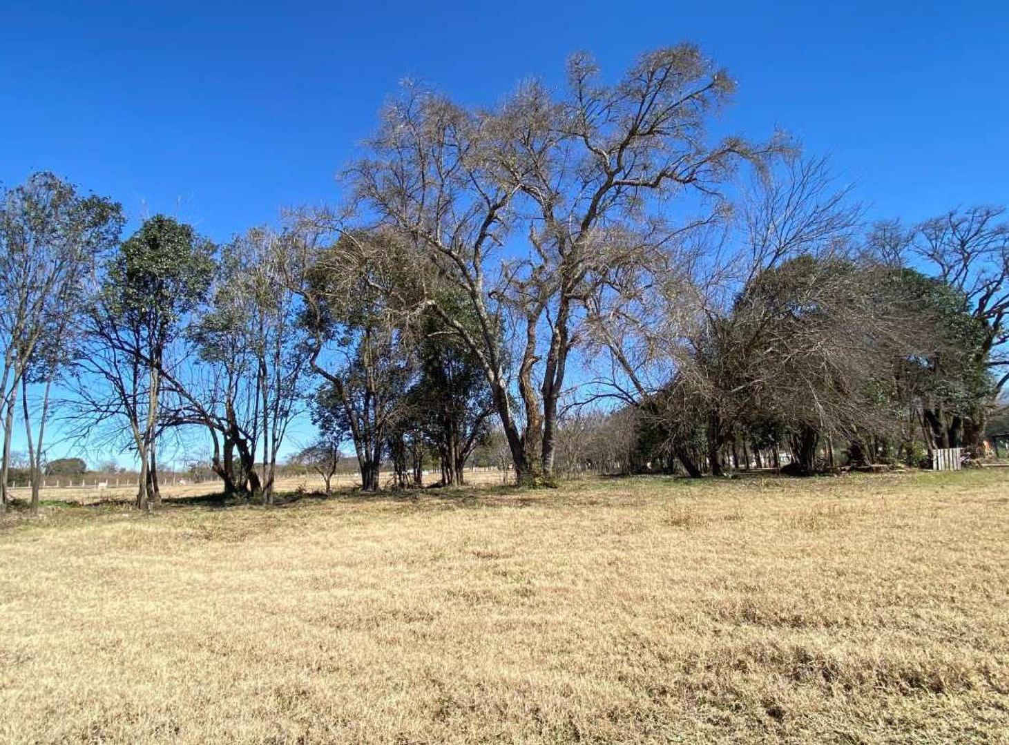 Foto de Venta terreno en La Arbolada San Lorenzo Chico, imagen 2
