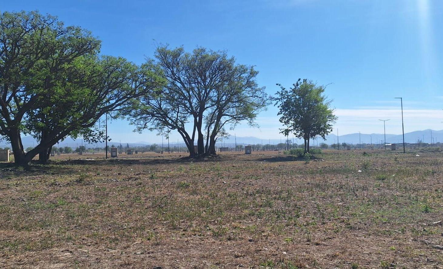 Foto de Venta terreno, zona sur, frente al aeropuerto,, imagen 5