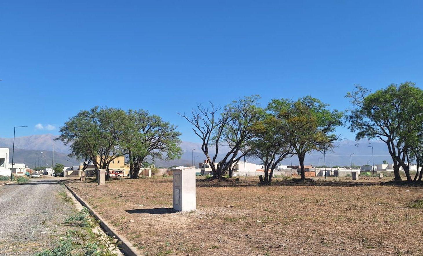 Foto de Venta terreno, zona sur, frente al aeropuerto,, imagen 2