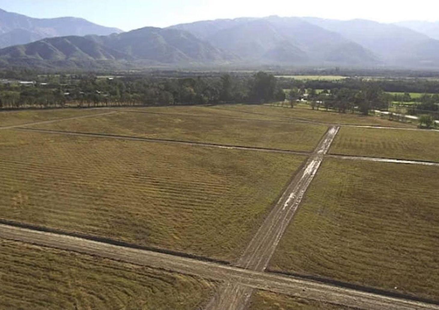 Foto de VENTA TERRENO EN LOTEO LA CARLOTA, imagen 2