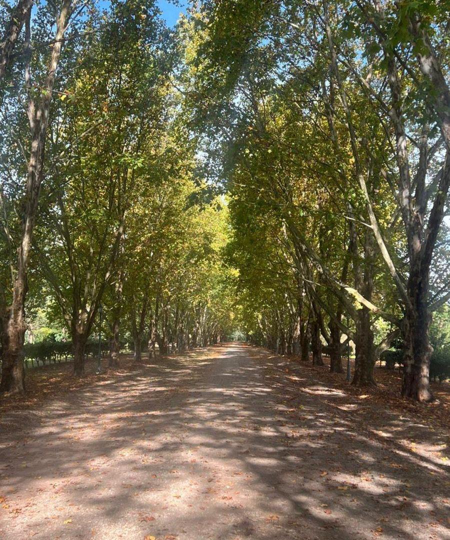 Foto de LOTE EN VENTA "PARQUES DE SAN LORENZO", imagen 4