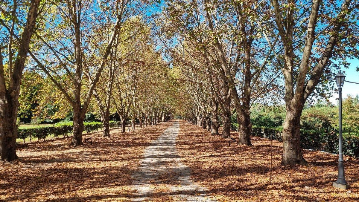 Foto de LOTE EN VENTA "PARQUES DE SAN LORENZO", imagen 2