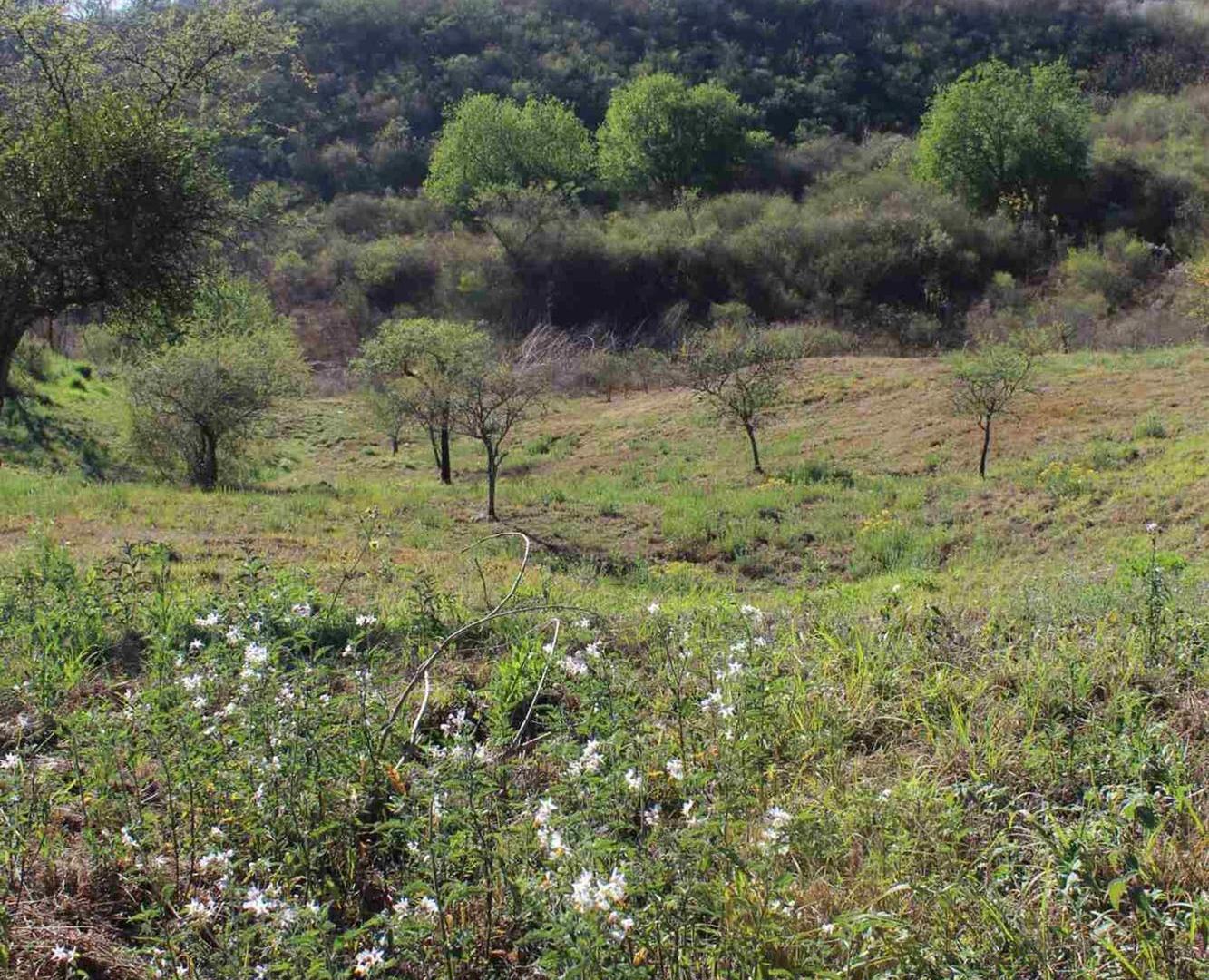 Foto de TERRENO EN VENTA LA RESERVA DE SAN LORENZO CHICO, imagen 5