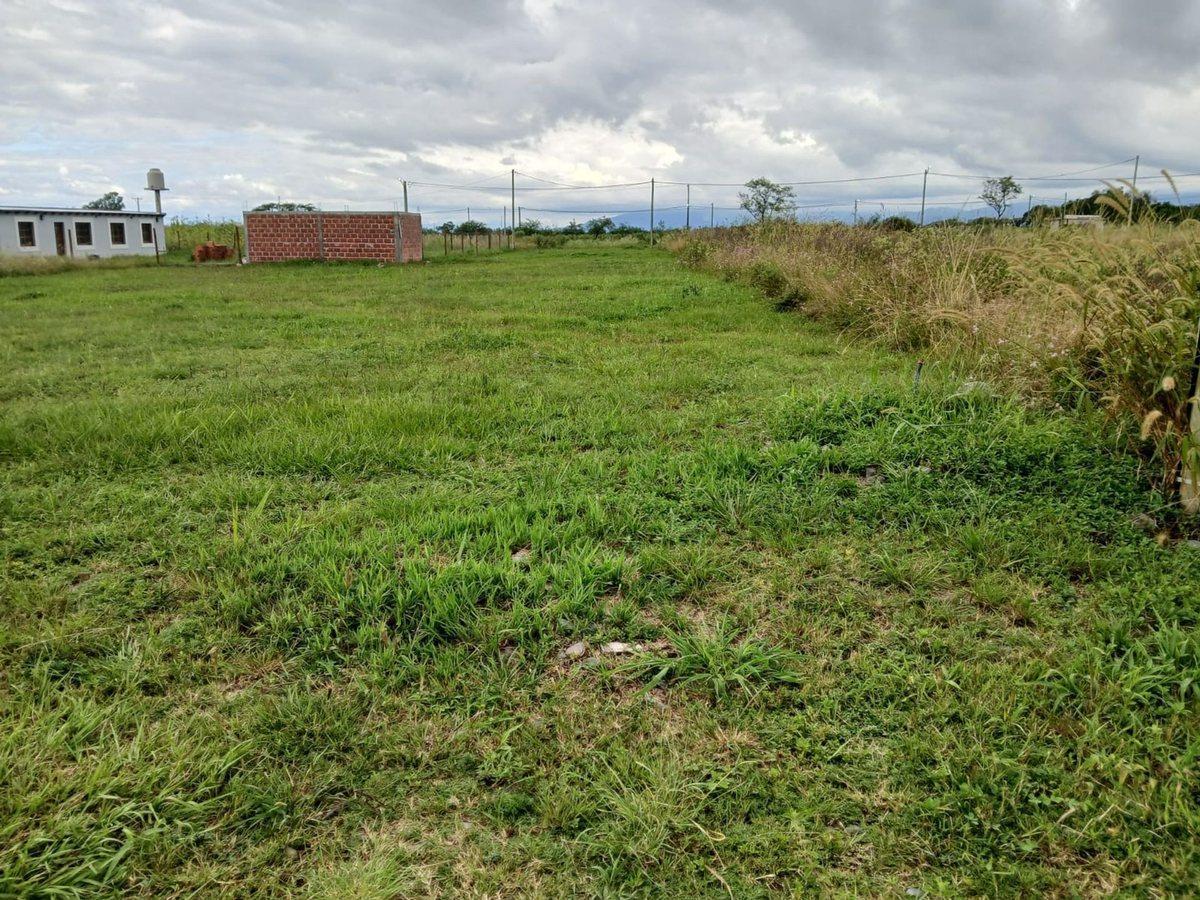 Foto de VENTA TERRENO LOTEO LA CARMINA CAMPO QUIJANO 390M2, imagen 5