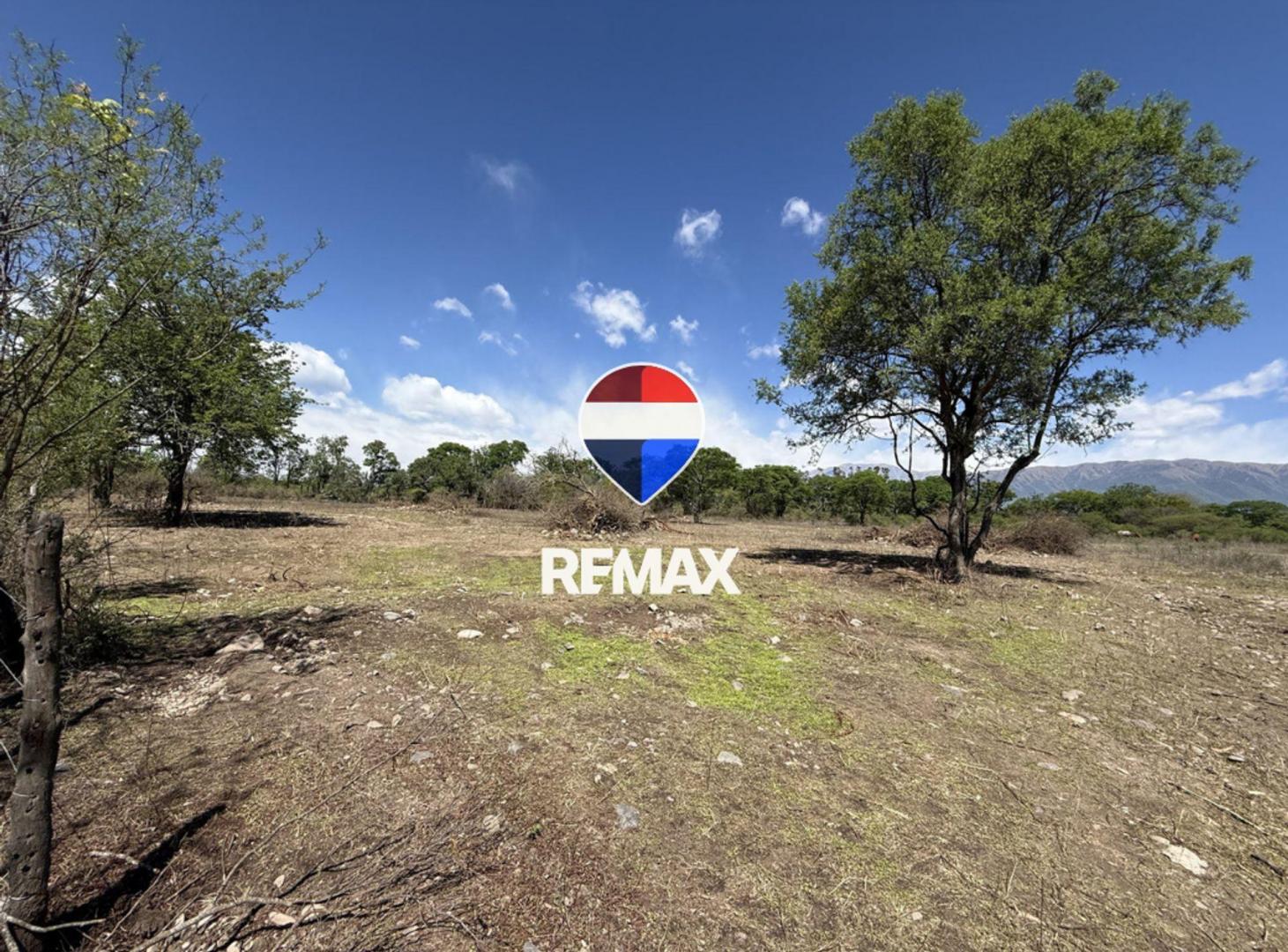 Foto de Venta terreno 8.000m2 El Encón fácil acceso campo, imagen 2