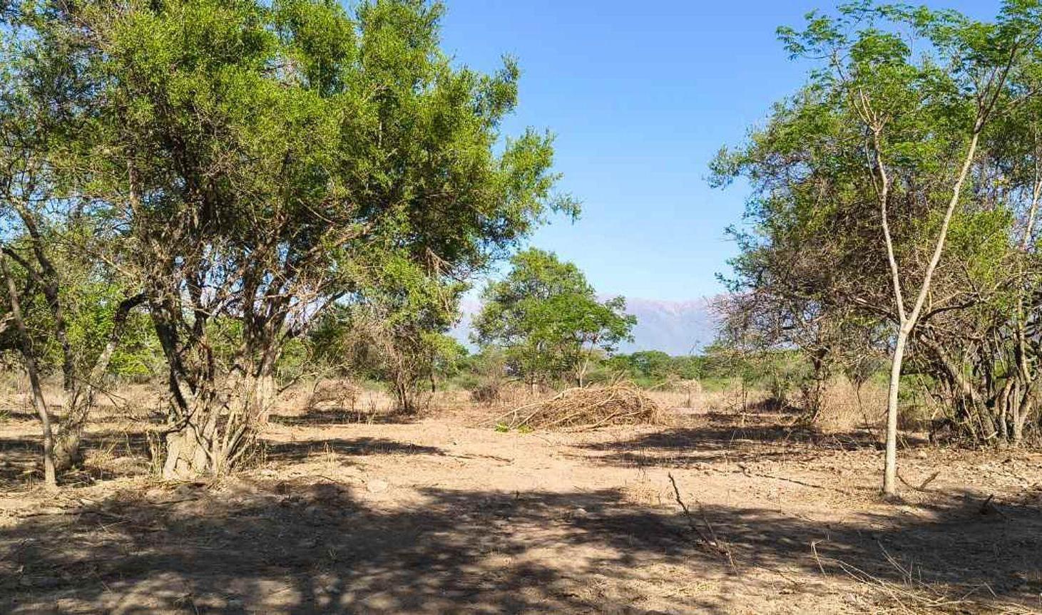 Foto de Venta terreno 8.000m2 El Encón fácil acceso campo, imagen 4