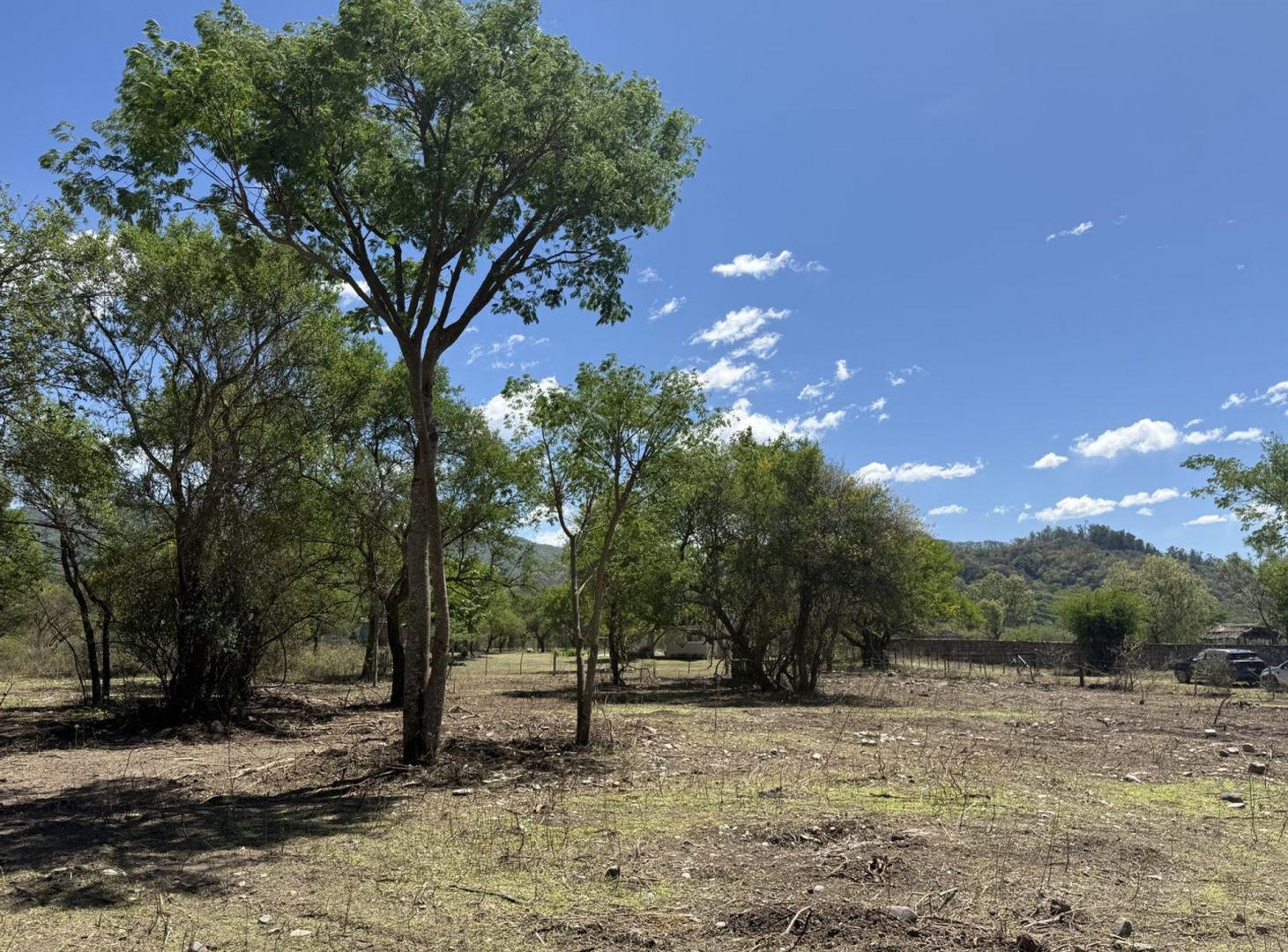 Foto de Venta terreno 8.000m2 El Encón fácil acceso campo, imagen 1