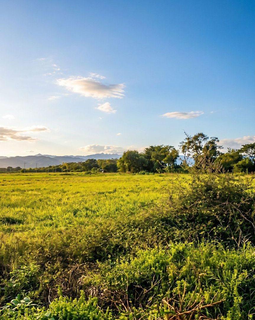 Foto de Venta Terrenos 2000 m2 Circunvalación Oeste, imagen 4
