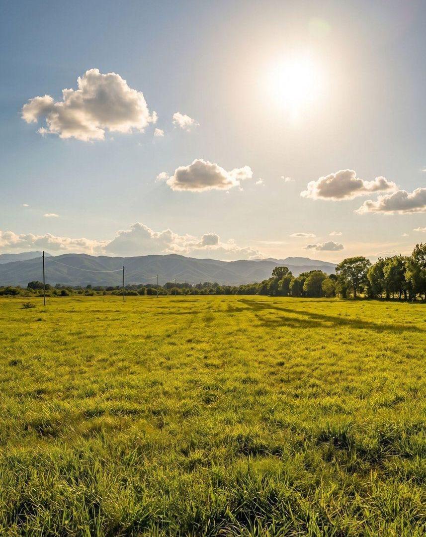 Foto de Venta Terrenos 2000 m2 Circunvalación Oeste, imagen 3