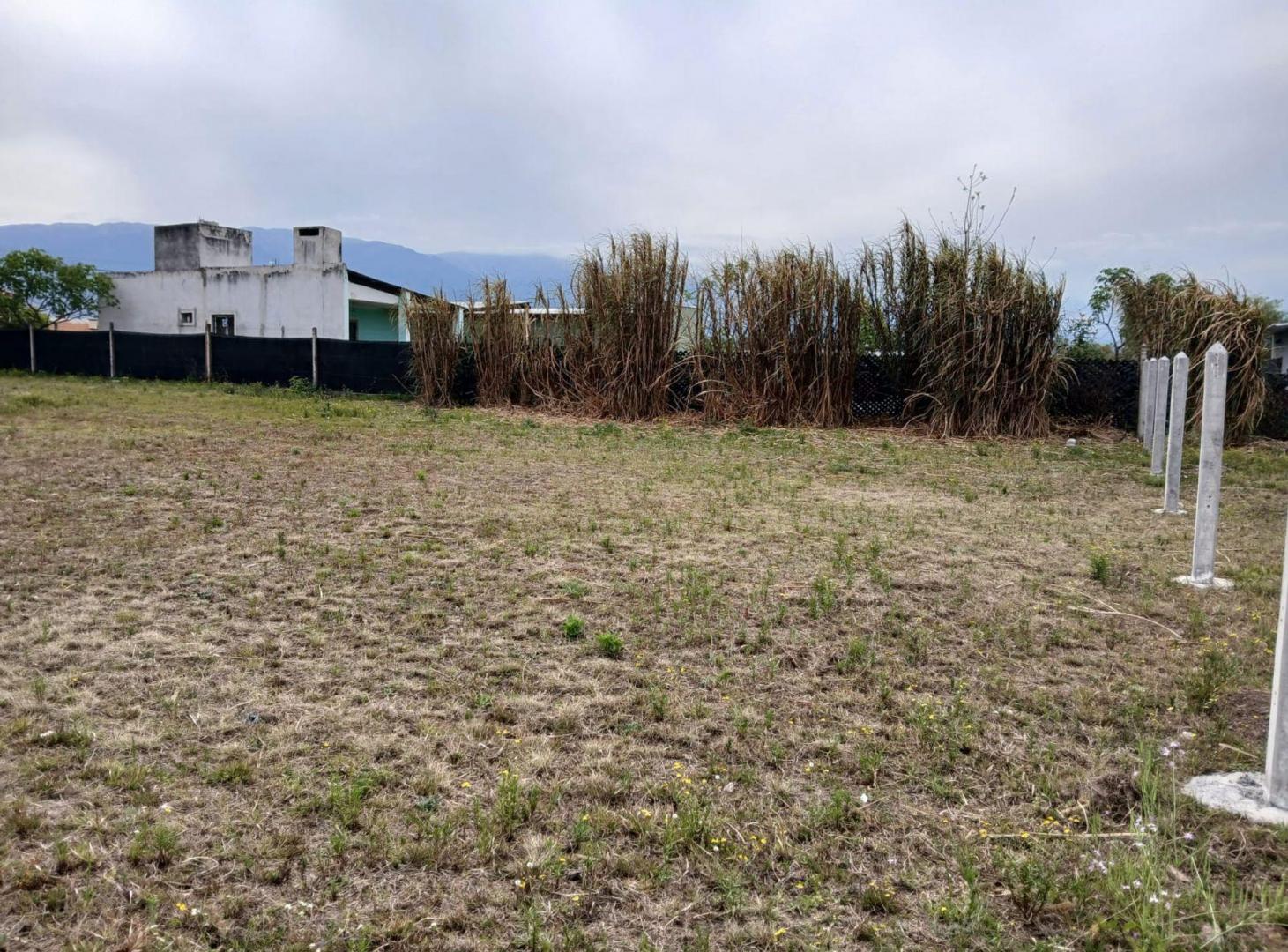 Foto de VENTA TERRENO 790 m2-RETOÑOS DE COLÓN-Cpo Quijano, imagen 3