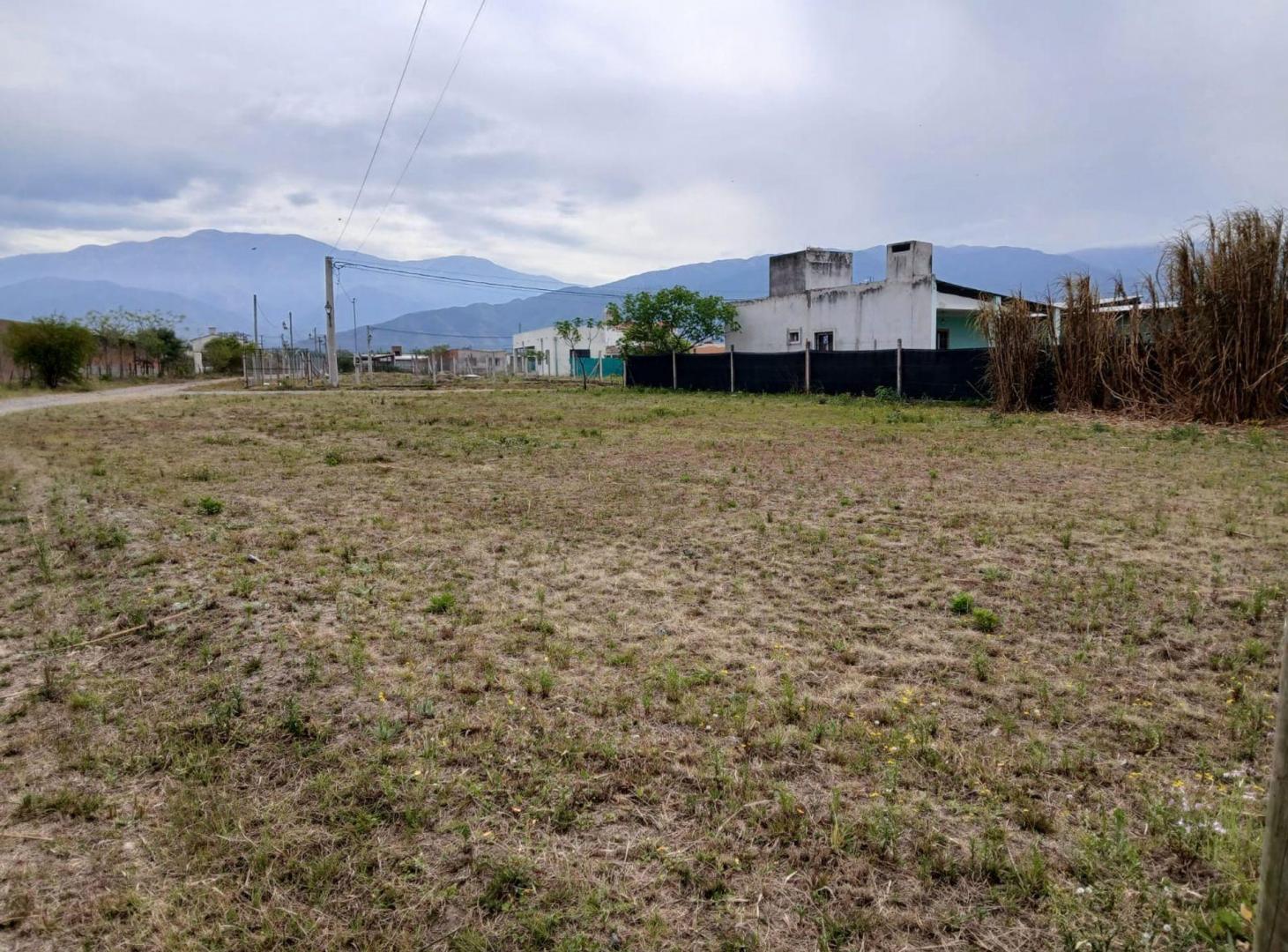 Foto de VENTA TERRENO 790 m2-RETOÑOS DE COLÓN-Cpo Quijano, imagen 2