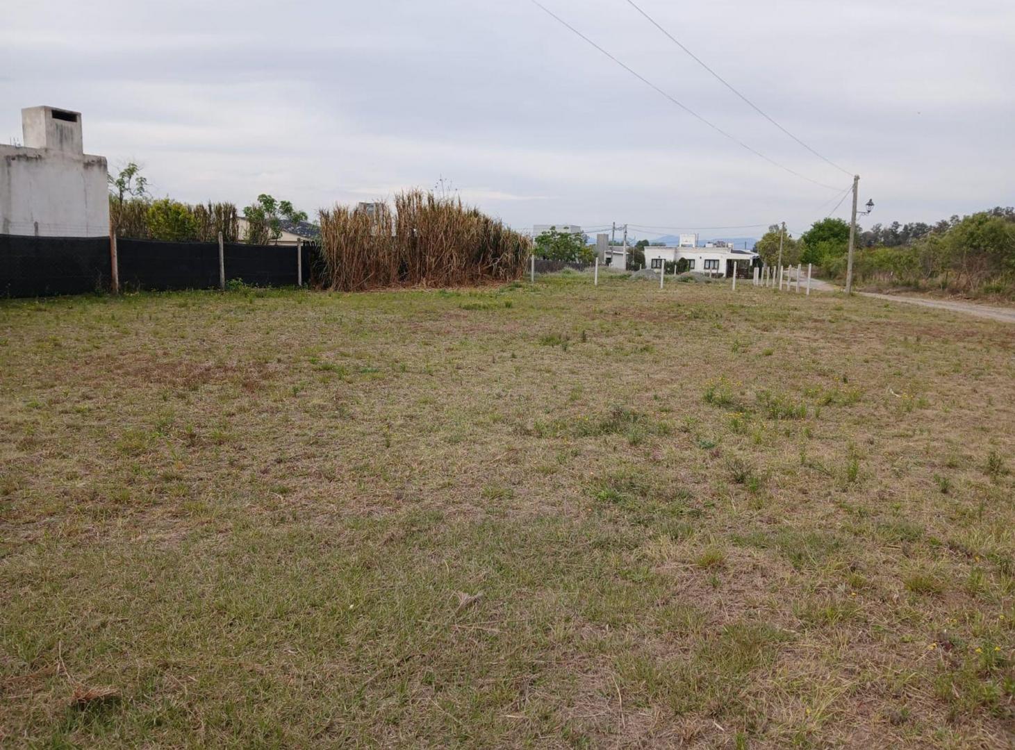 Foto de VENTA TERRENO 790 m2-RETOÑOS DE COLÓN-Cpo Quijano, imagen 5