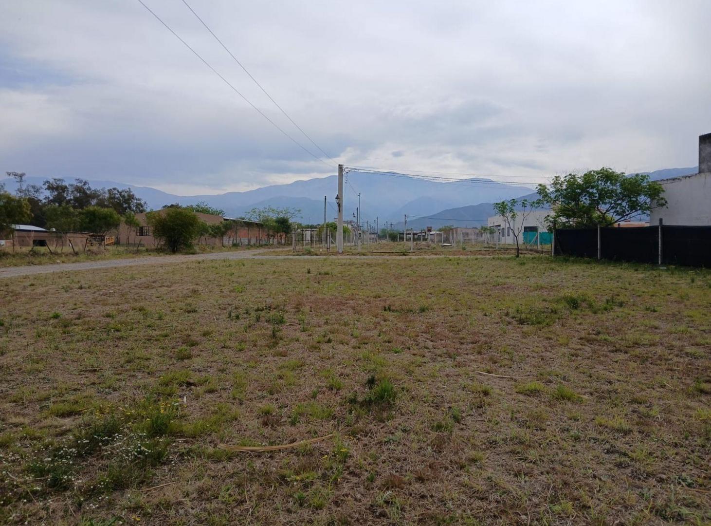 Foto de VENTA TERRENO 790 m2-RETOÑOS DE COLÓN-Cpo Quijano, imagen 4