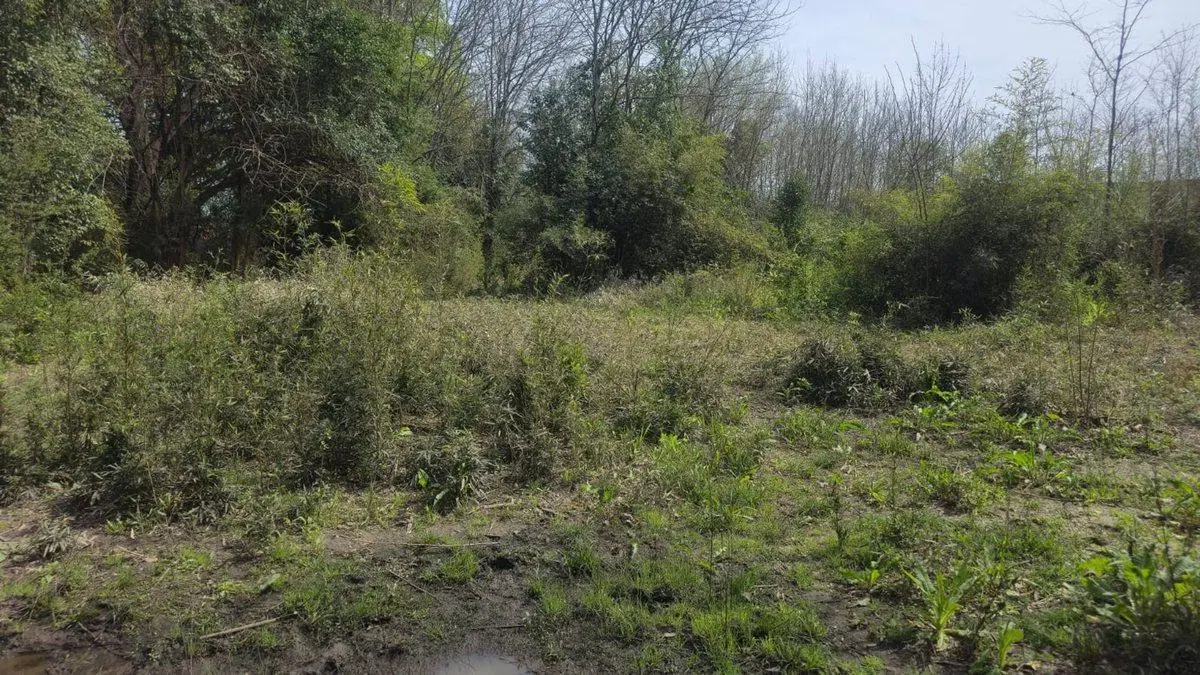 HERMOSO LOTE A LA VENTA 3 B 2