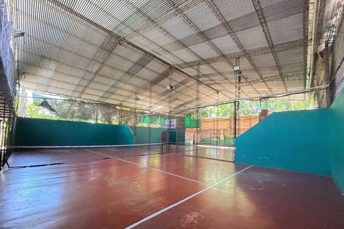 Canchas de padel con gran tinglado 3