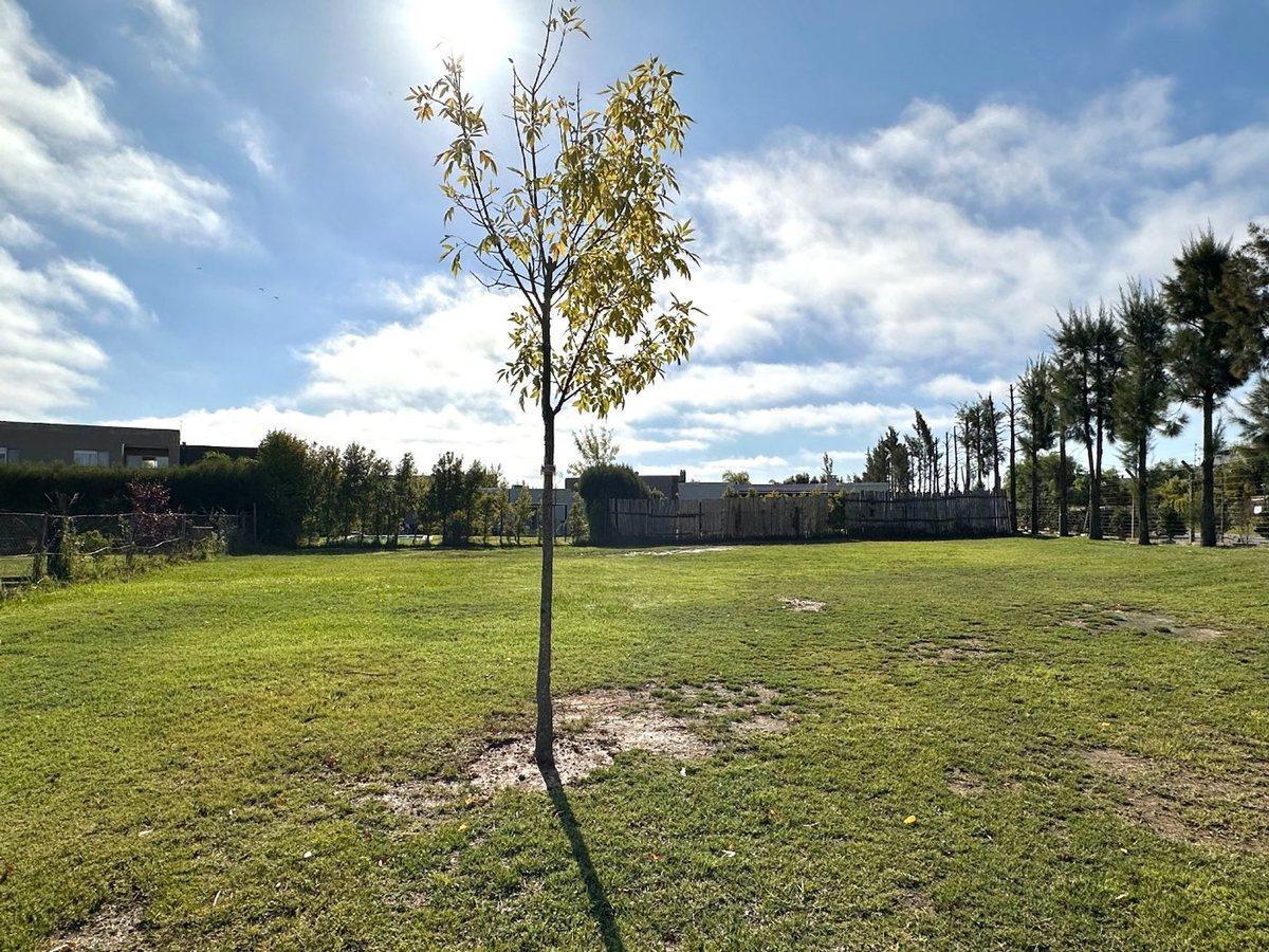 Lote en venta en cul de sac San Rafael Villanueva