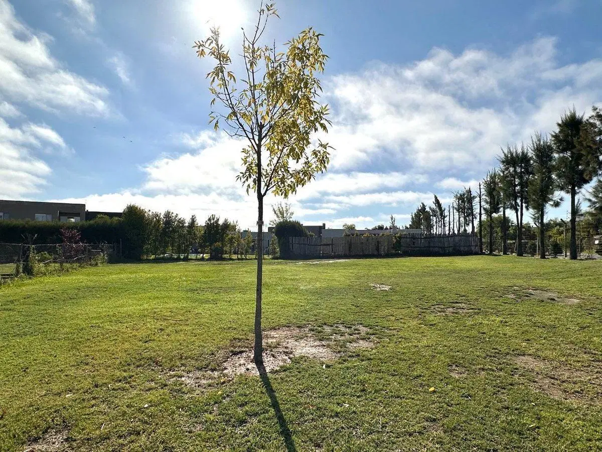 Lote en venta en cul de sac San Rafael Villanueva 3