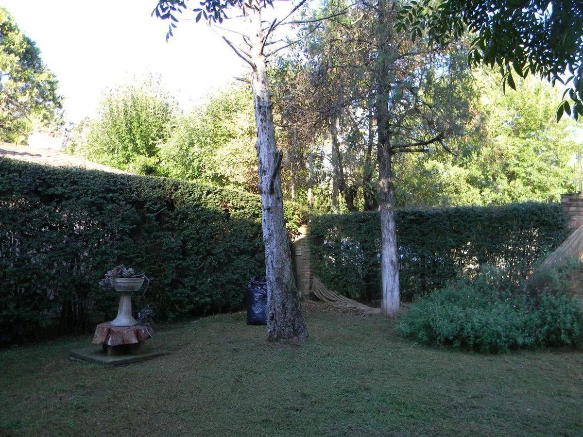 Casa 3 AMB  con Gran Parque y Pileta 4
