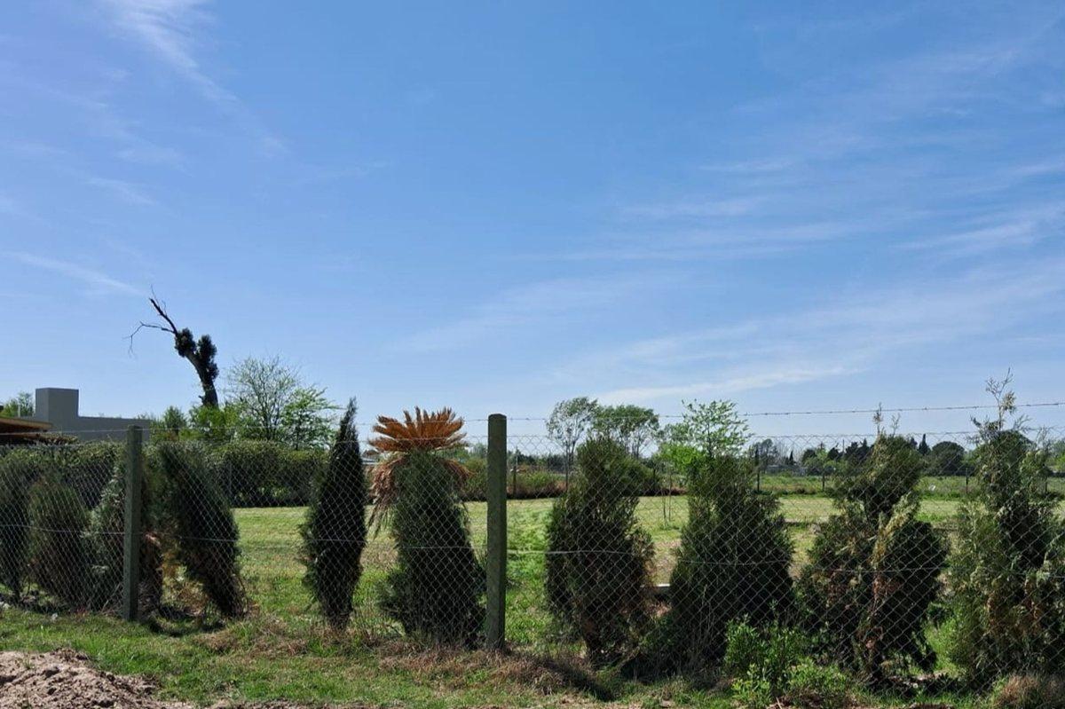 LOTE EN MERCEDES