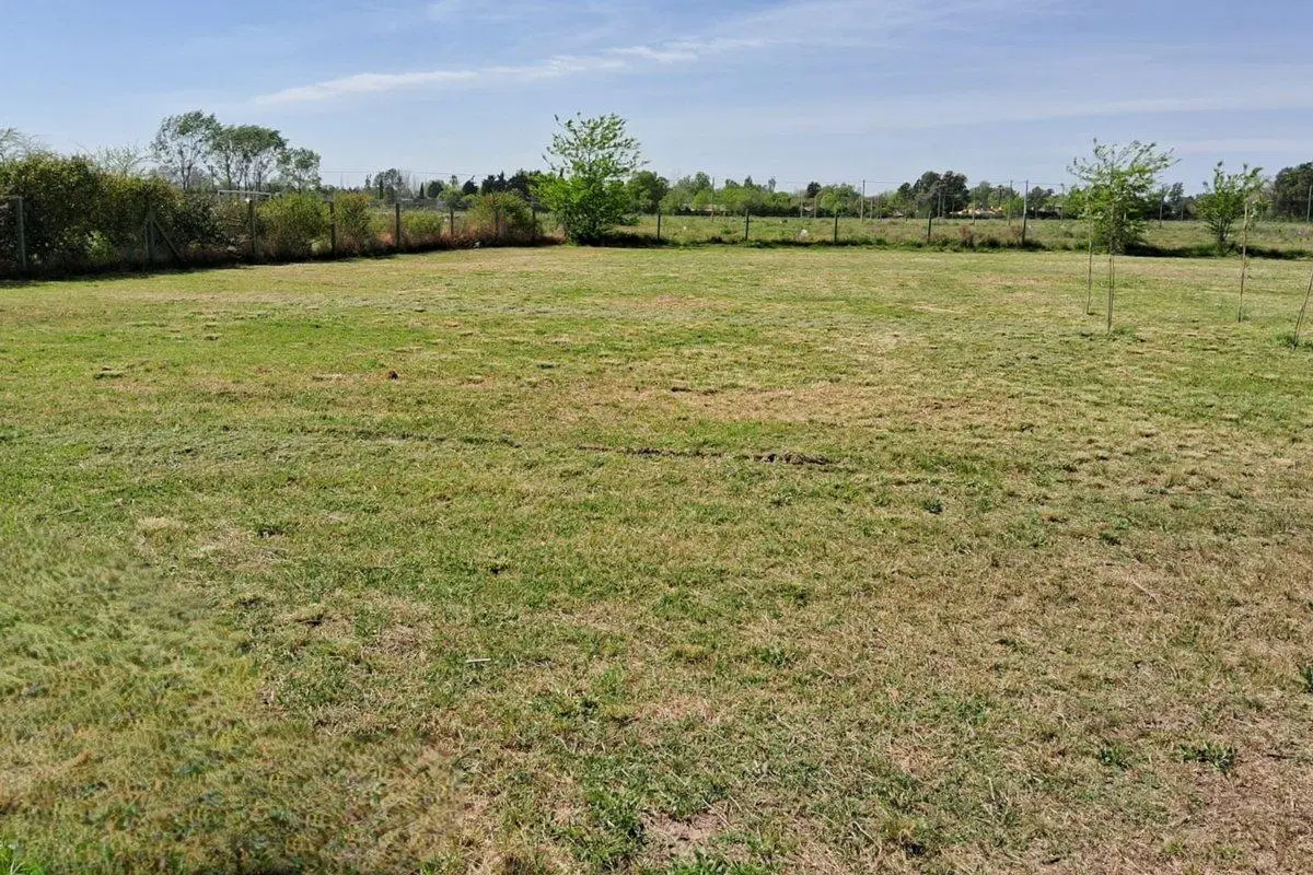 LOTE EN MERCEDES 2