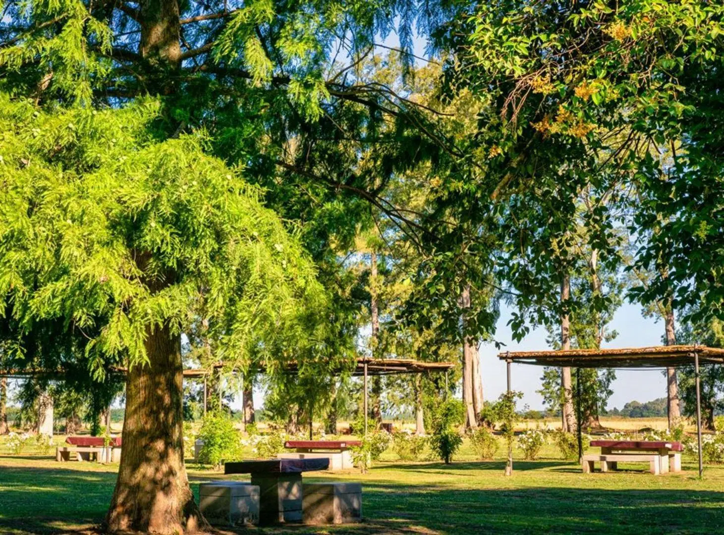 Terreno Lote en venta, Tres Pinos Villa De Campo 4