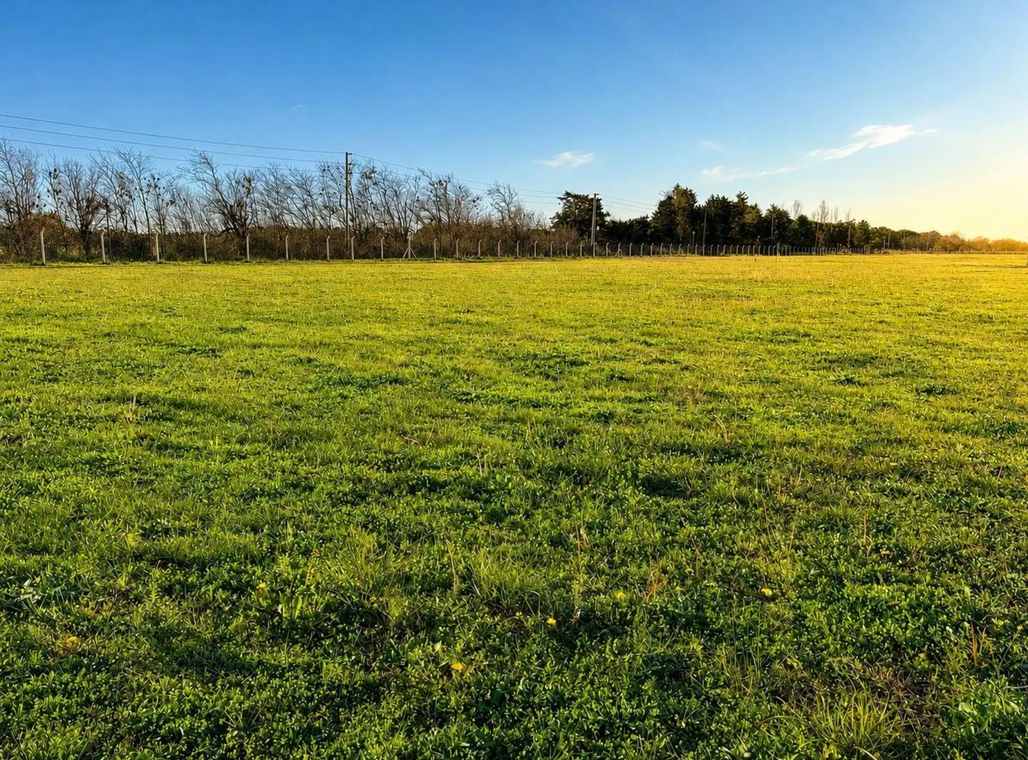 Terreno Lote en venta, Tres Pinos Villa De Campo 2