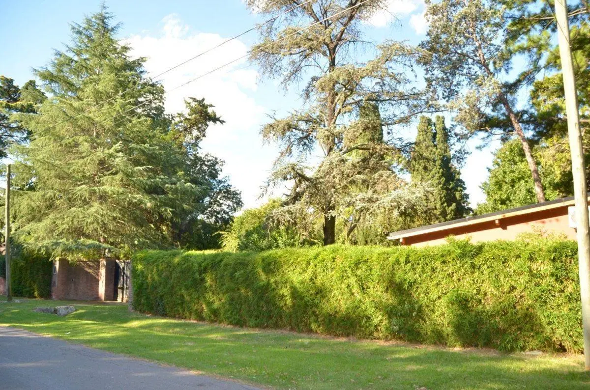 Quinta de 2100m² en Ricardo Rojas - 2 Casas 8