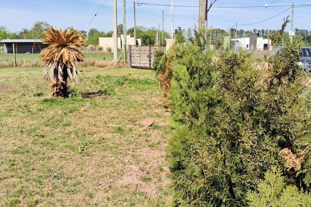 Foto de LOTE EN MERCEDES, imagen 5