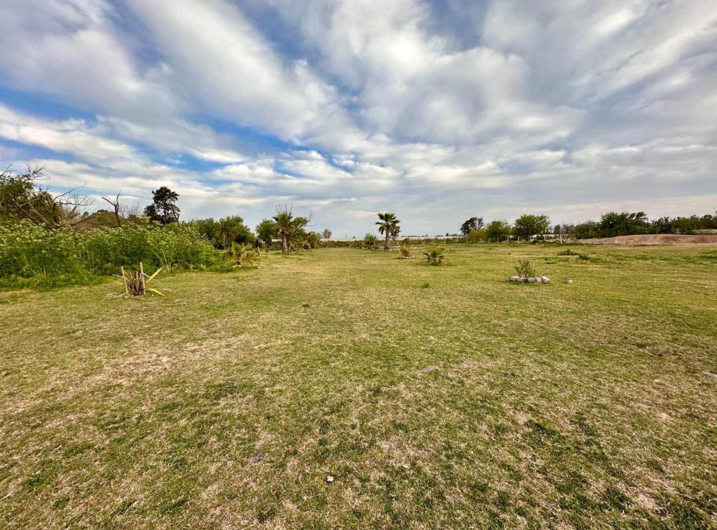 Foto de Macrolote 1,5 Has VillaNueva Tigre 14 Lotes, imagen 5