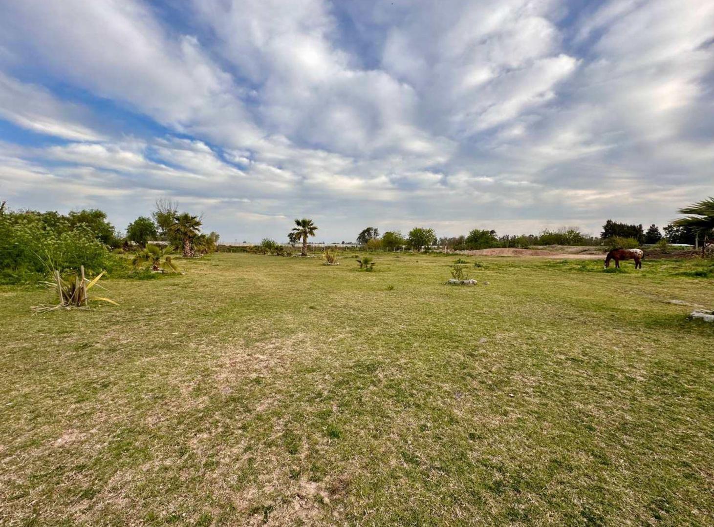 Foto de Macrolote 1,5 Has VillaNueva Tigre 14 Lotes, imagen 2