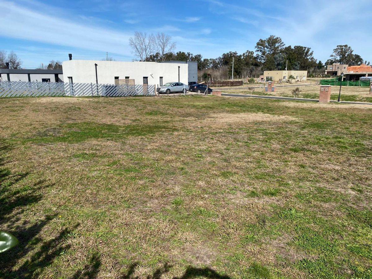 Foto de OPORTUNIDAD LOTE PILAR DEL ESTE, imagen 5