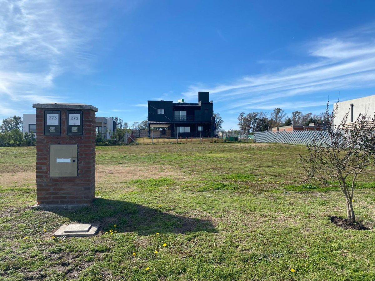 Foto de OPORTUNIDAD LOTE PILAR DEL ESTE, imagen 2