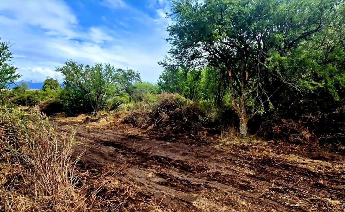 Terreno en Venta en Ñirihuau 3