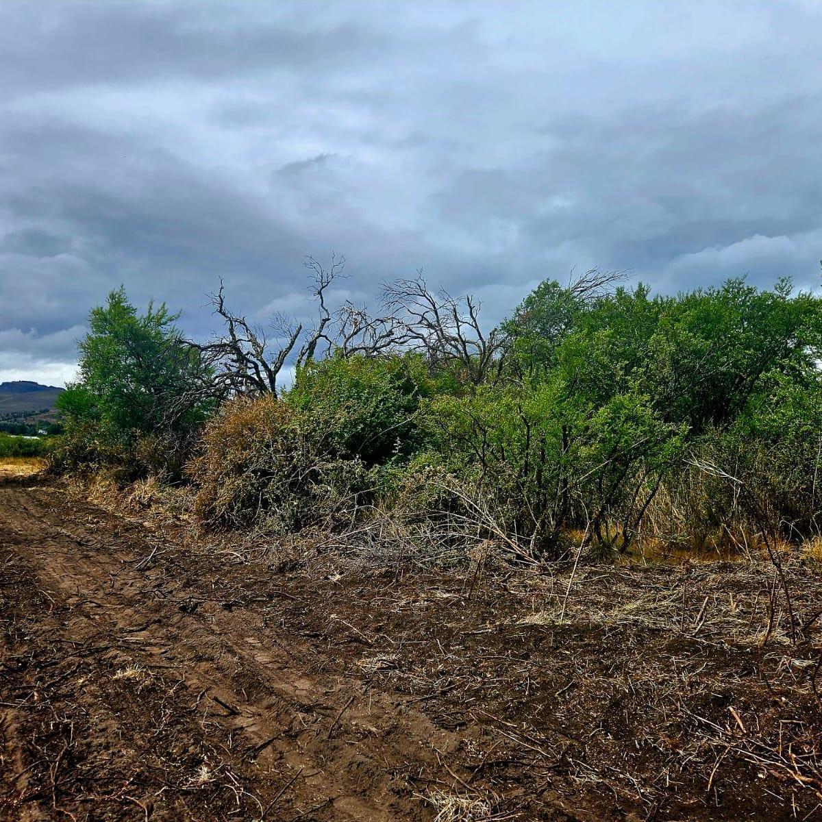 Terreno en Venta en Ñirihuau 4