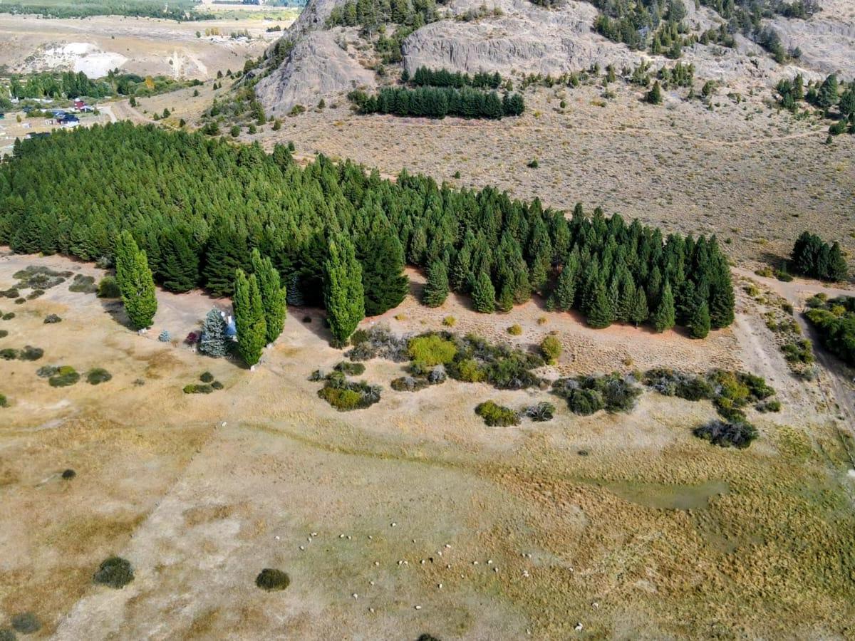 Campo en Venta en Ñirihuau 2