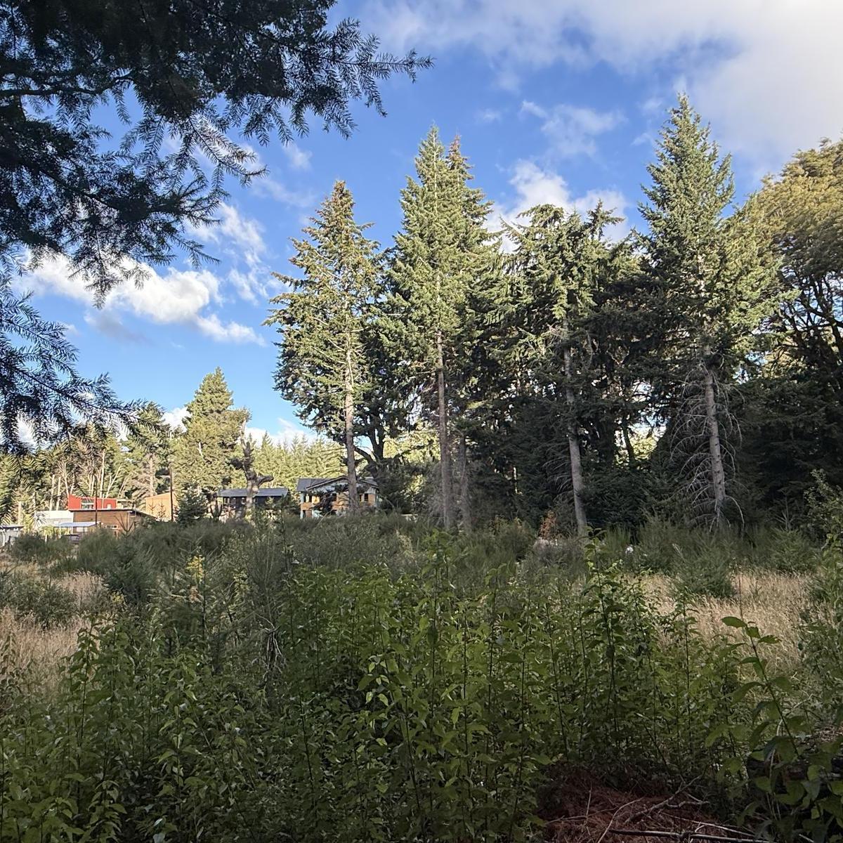 Terreno en Venta Km 21 2