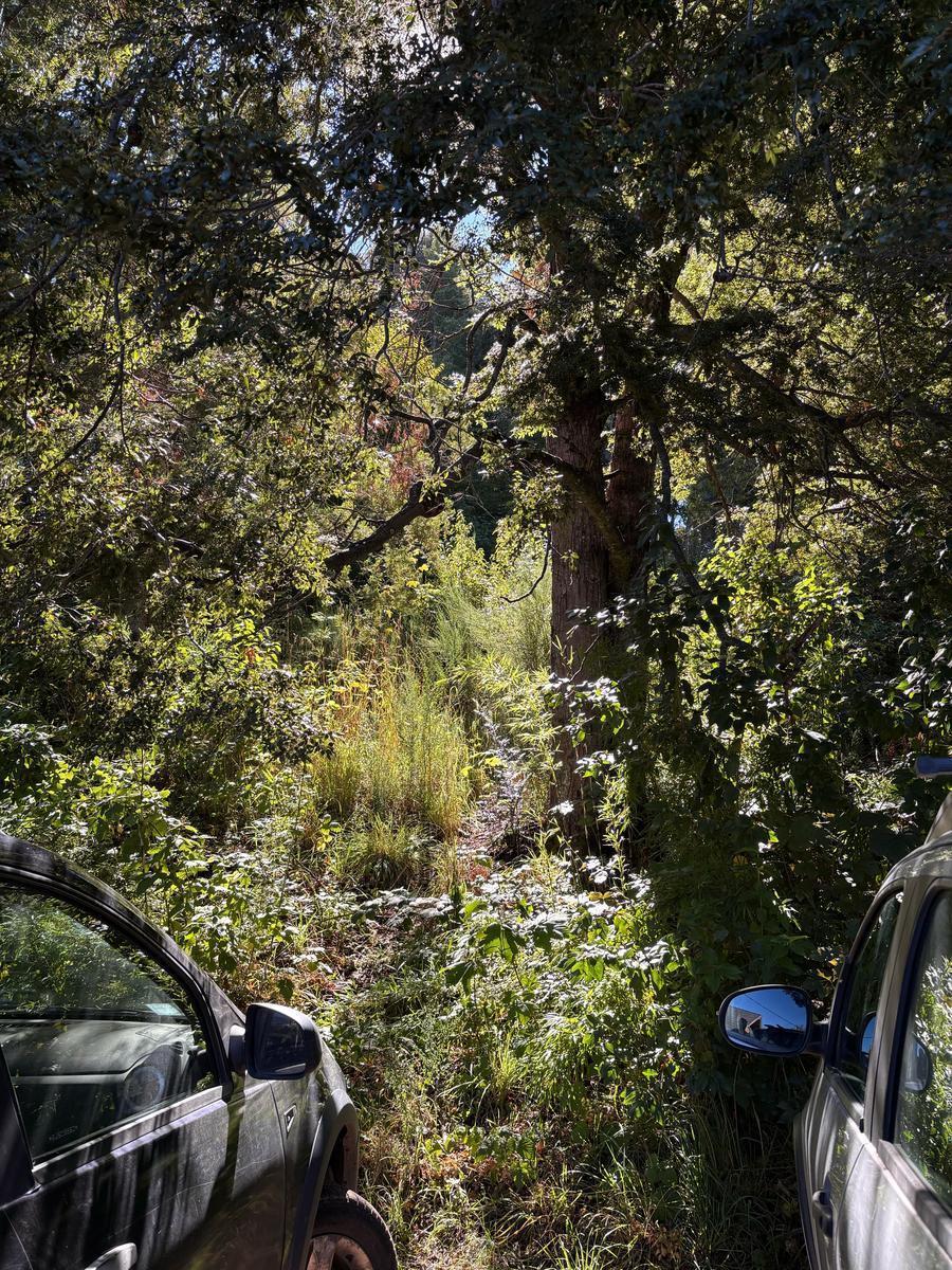 Terreno en Venta en Llao Llao - a 50 m del Lago 3