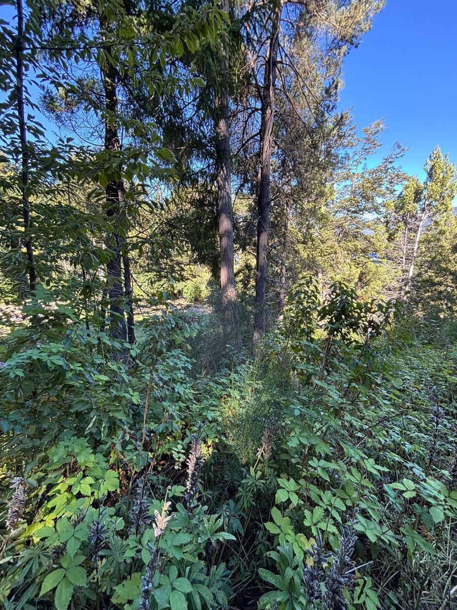 Terreno en Venta en Llao Llao - a 50 m del Lago 2