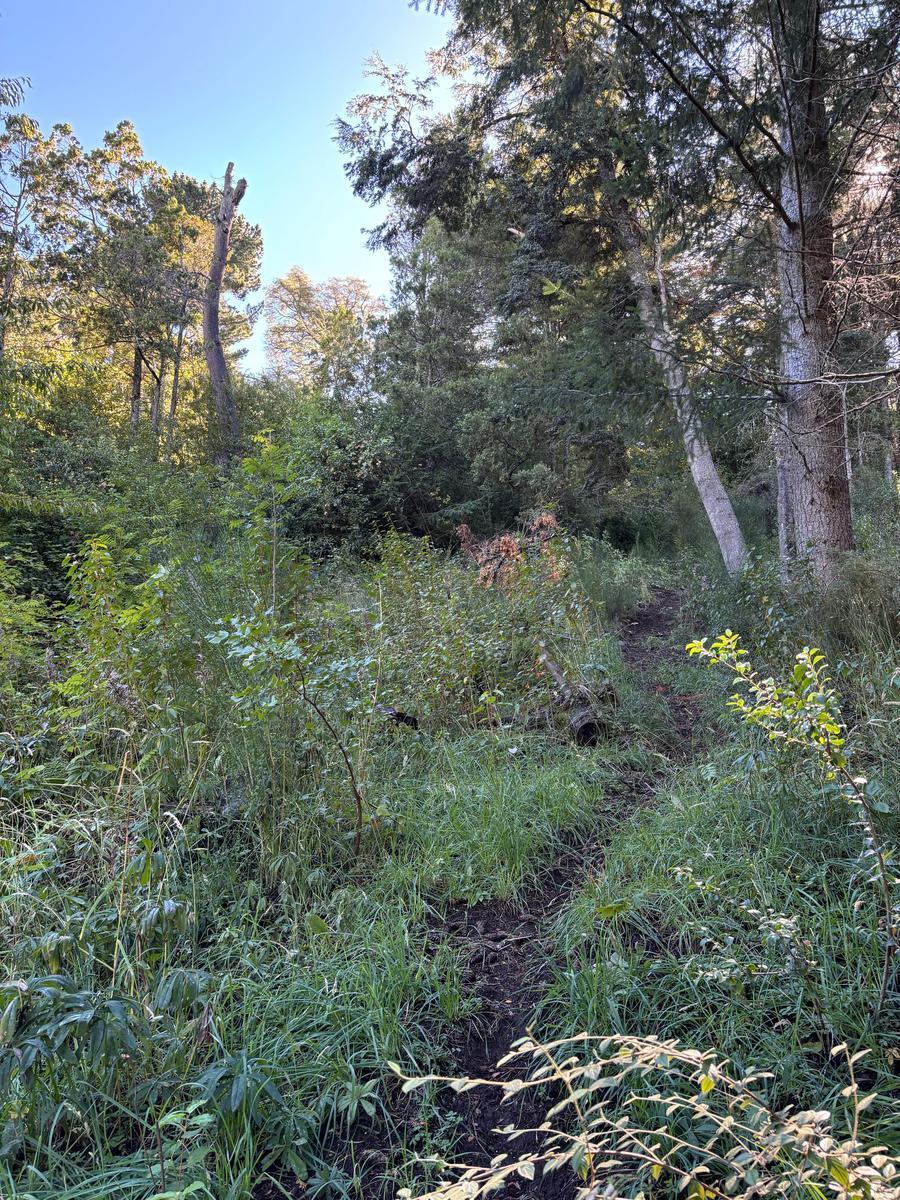 Terreno en Venta en Llao Llao - a 50 m del Lago 4