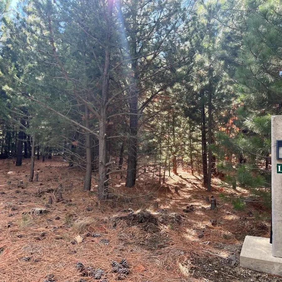 LOTE EN VENTA - CLUB DE CAMPO DOS VALLES 2