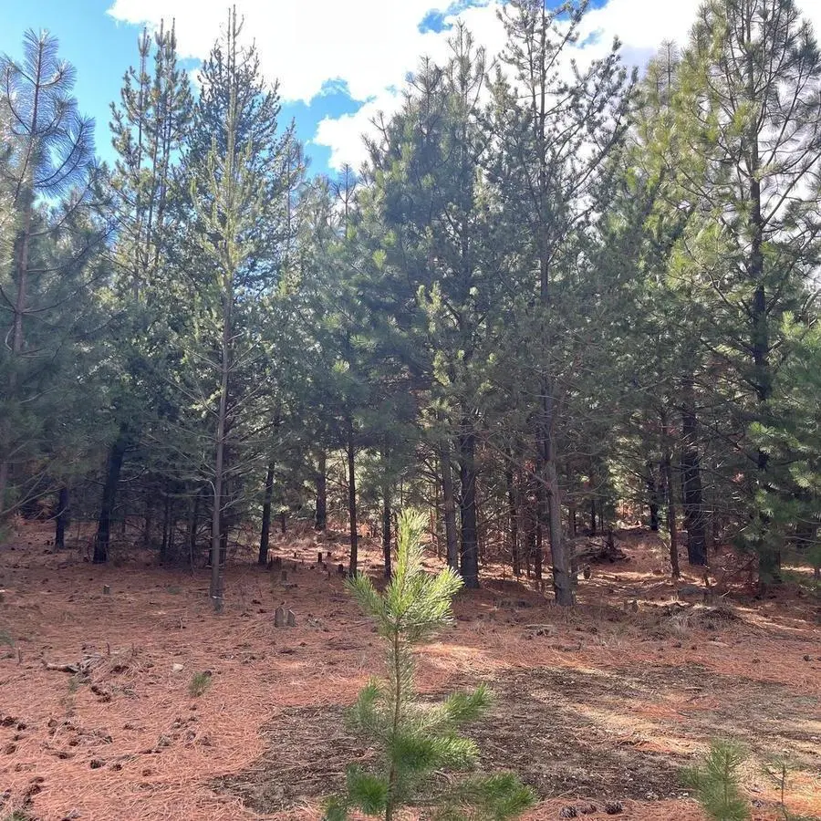 LOTE EN VENTA - CLUB DE CAMPO DOS VALLES 5