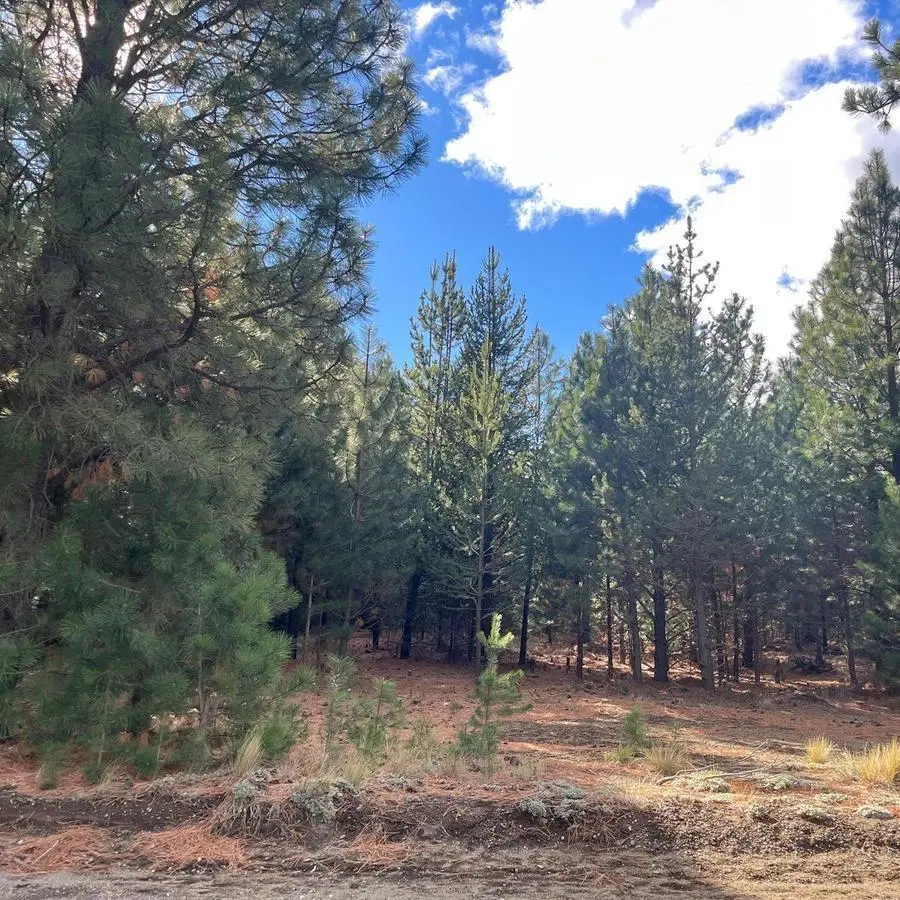 LOTE EN VENTA - CLUB DE CAMPO DOS VALLES 3