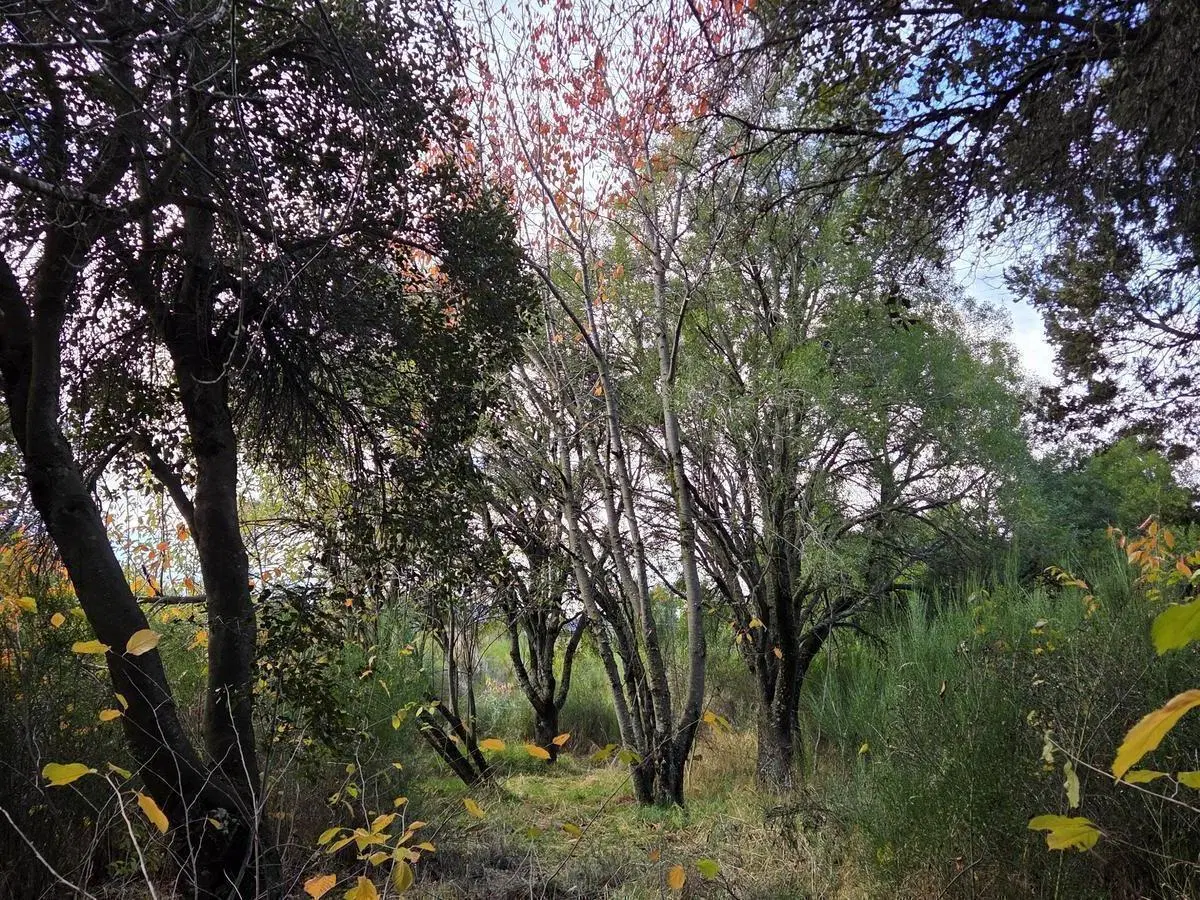 Terreno en venta 4