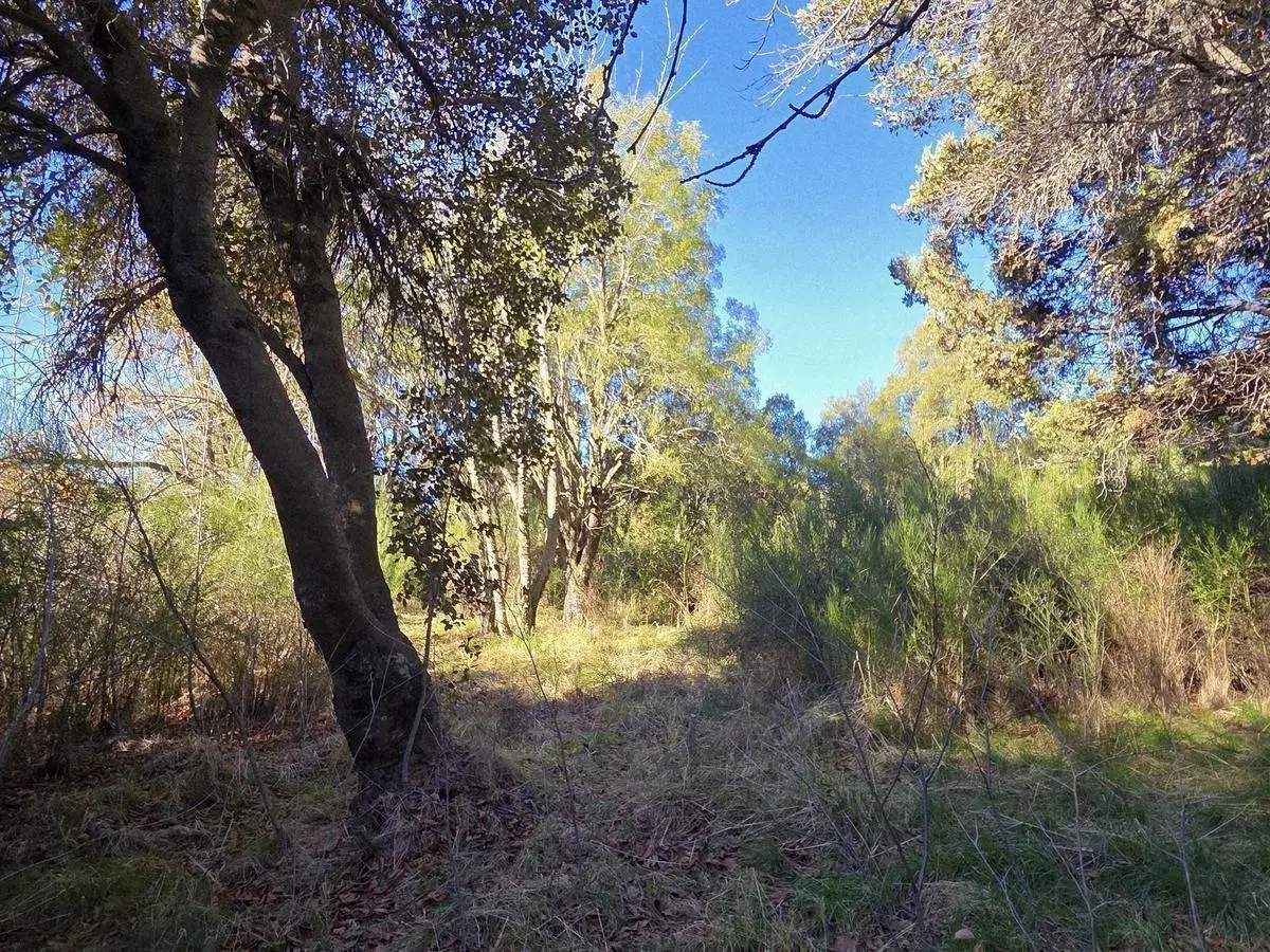 Terreno en venta 5