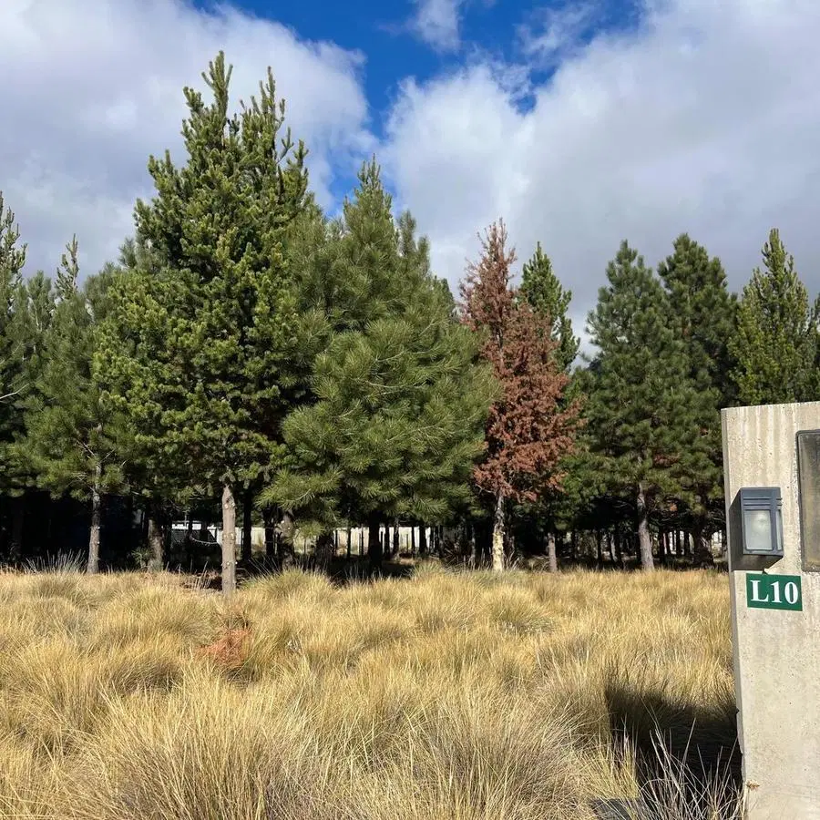 LOTE N° L10 EN VENTA - CLUB DE CAMPO DOS VALLES 2