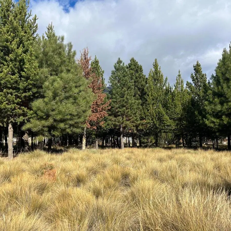 LOTE N° L10 EN VENTA - CLUB DE CAMPO DOS VALLES 3
