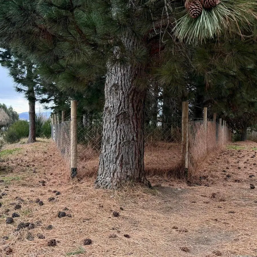 Terreno en San Carlos De Bariloche 4
